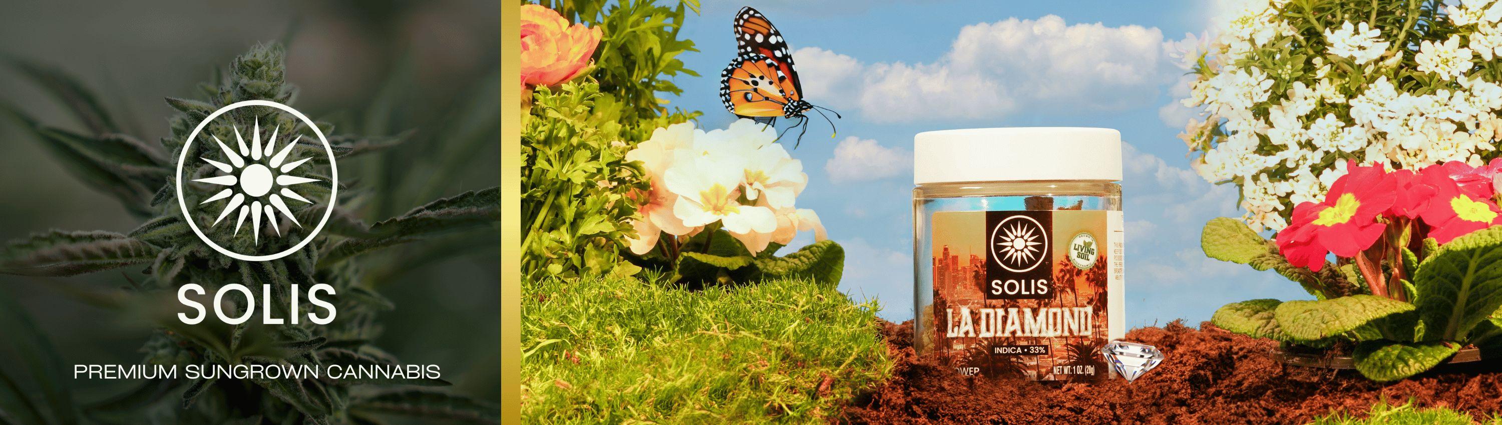 Solis banner