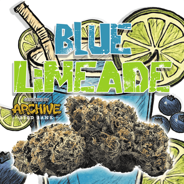 Green Dragon Flower 14g Sativa Limeade